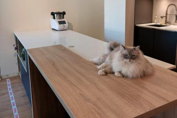 La cuisine Bleu foncé, pierre blanche &amp; bois d&#039;Arnaud, une cuisine réalisée par SoCoo'c Paris République